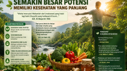 Kembali kepada Alam: Semakin Natural, Semakin Besar Potensi Memiliki Kesehatan yang Panjang