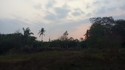 Sholat Sebagai Alat Untuk Bersaksi Kepada Allah