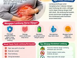 Menjaga Kesehatan Lambung, Menjaga Keseimbangan Kesehatan Tubuh